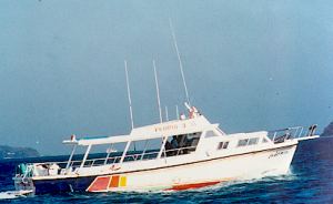 Day fishing tours with Aloha Tours