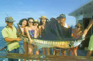 Sailfish off Phuket Thailand